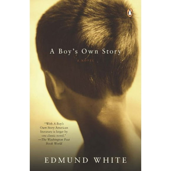 A Boy's Own Story : A Novel 9780143114840 Used / Pre-owned