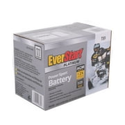EverStart Powersport Battery TX9 12 Volt 120 CCA