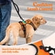 thumbnail image 4 of Arnés para Perro Rabbitgoo Naranja con Líneas Reflectantes y Chaleco Acolchado Ajustable para Adiest, 4 of 9