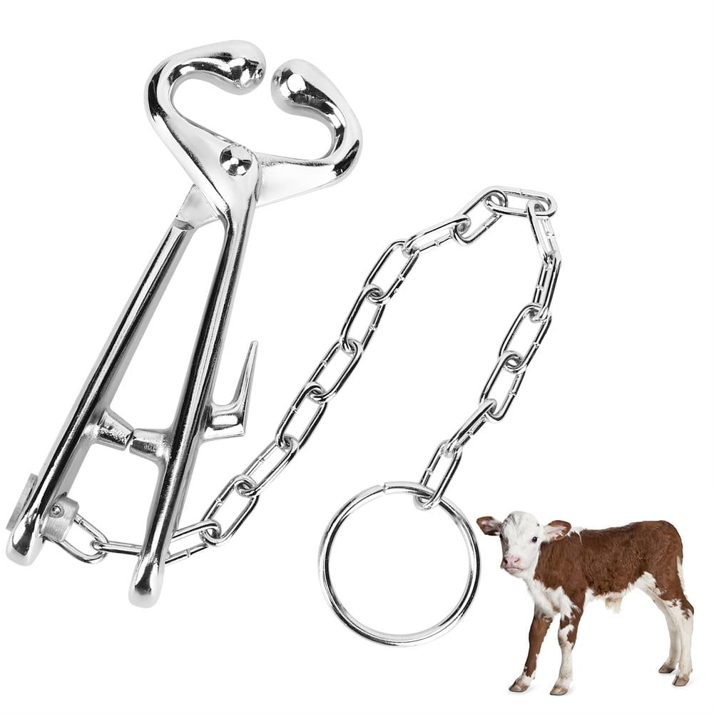 Bull Cow Nose Lead With Chain Show Cattle Eartag Vaccinator Stainless Steel 