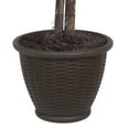 thumbnail image 3 of Vickerman 4' Artificial Orange Maple Bush, Rattan Basket., 3 of 4