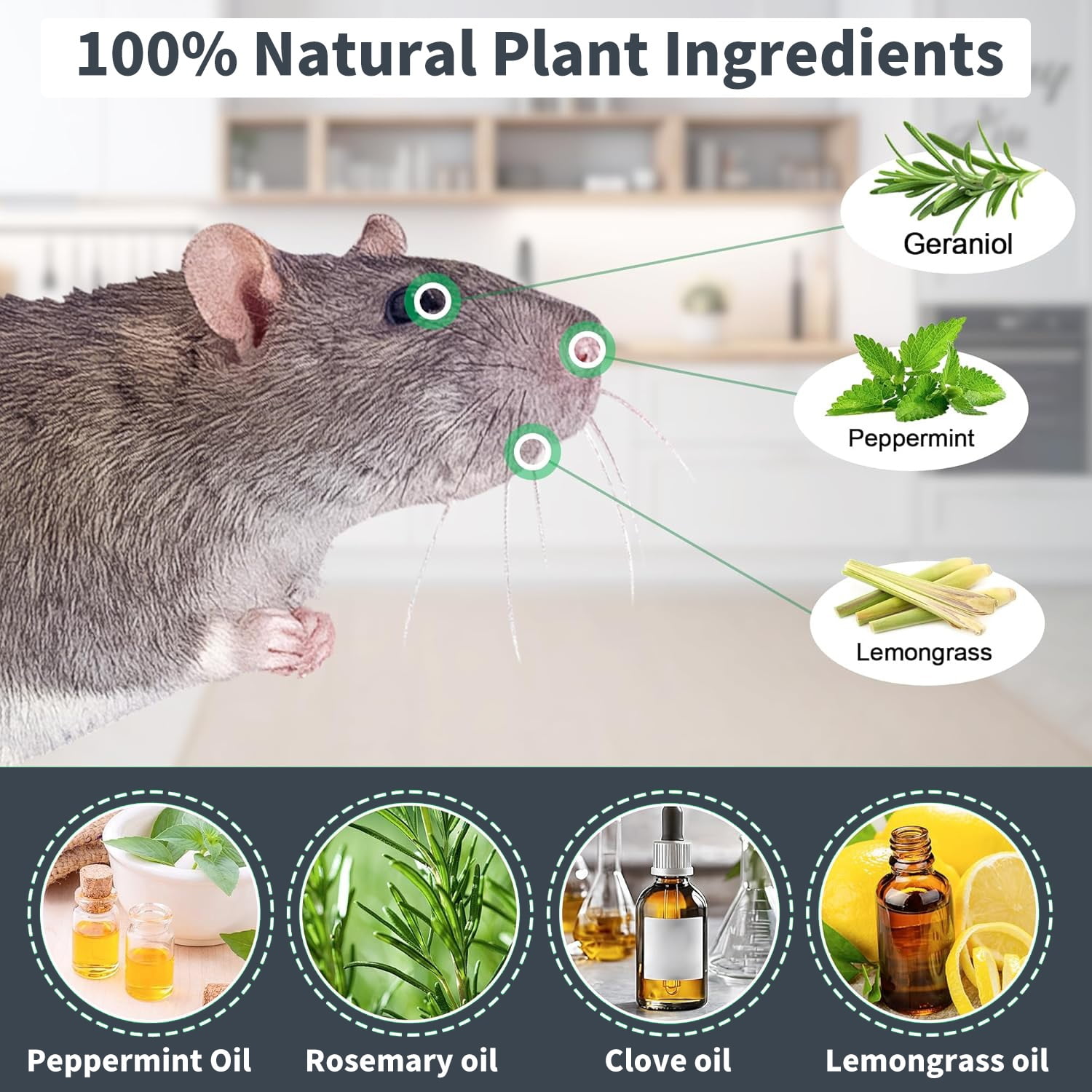 Mouse Repellent Indoor Humane - Natural Alternative to Mouse Traps - SXlianshun