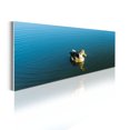 thumbnail image 1 of Animal Acrylic Glass Wall Art, Wild Duck in the Pond Nature Landscape Calm Waters Floating Aquatic Bird, Panoramic Decor Living Room Bedroom & Dorms, 47" x 16", Slate Blue and Mustard, by Ambesonne, 1 of 1