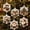 3.54''-C, variant on 6PCS Christmas Ornaments DIY Pearl Diamond Art Kits for Adults, DIY Craft Christmas Decor, Acrylic Hanging Craft with 3D Mixed-Size Beads for Holiday Window Hanging Christmas Tree Decorations