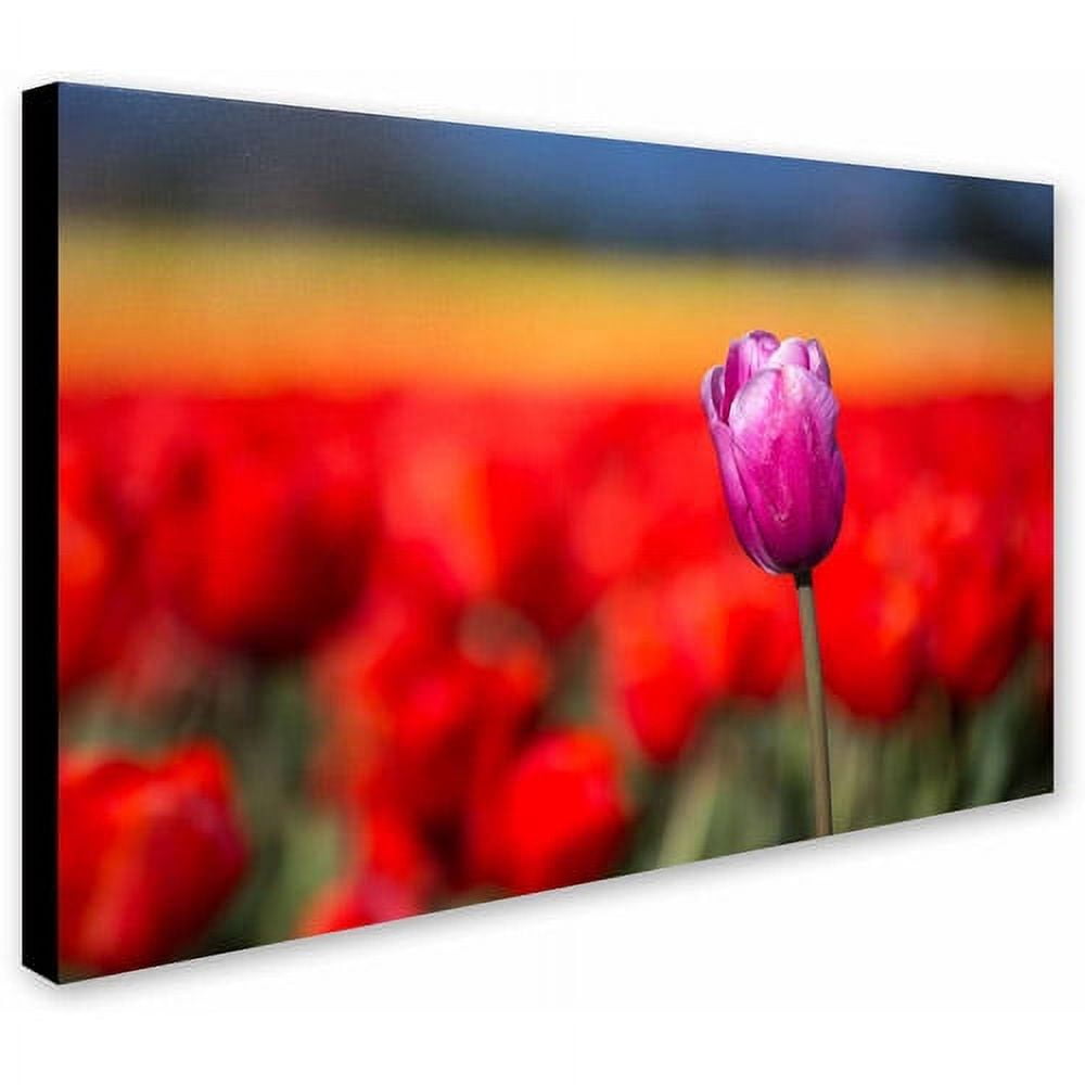 Trademark Fine Art "Purple Tulip" Canvas Art by Pierre Leclerc