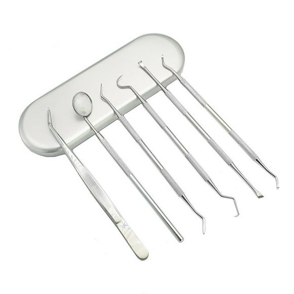 Trousse d'Hygiène Dentaire 6 Pcs Ensemble d'Outils Dentaires en Acier Inoxydable Dentiste Nettoyage des Dents Choix d'Hygiène Trousse Miroir Trousse Professionnelle de Santé Buccale Trousse d'Hygiéniste Outils pour la Maison pour Adultes Nettoyage des Dents