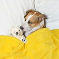 thumbnail image 2 of PiccoCasa Fluffy Fleece Blanket Lightweight Plush Throw Blanket for Couch Sofa Bed, Yellow Pet(30" x 40"), 2 of 6