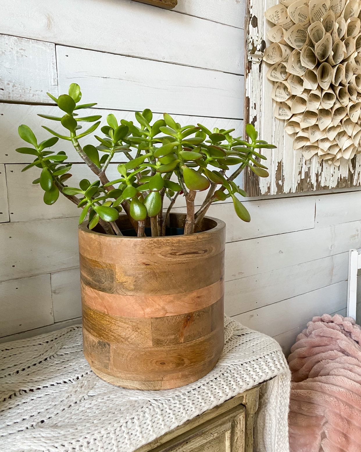 Large Mango Wood Cachepot for Plants - 9" Diameter & 8.5" Tall, Set of 4