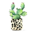 thumbnail image 2 of Tava Studios 20x20 Black Ornate Wood Framed with Double Matting Museum Art Print Titled - Spotted Cactus, 2 of 4