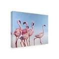 thumbnail image 2 of Trademark Fine Art 'Pink Ladies Flamingos' Canvas Art by Lucia Hefferna, 2 of 3
