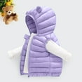 thumbnail image 2 of CAICJ98 Baby Boys Girls Hooded Puffer Vest Toddler Winter Jacket Lightweight Sleeveless Bear Ears Zipper Up Jacket (Purple,6-12 Months), 2 of 4