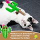 thumbnail image 3 of Juguete masticable para gatos PAZ GIFT Catnip Silvervine con plumas de cactus, 3 of 9
