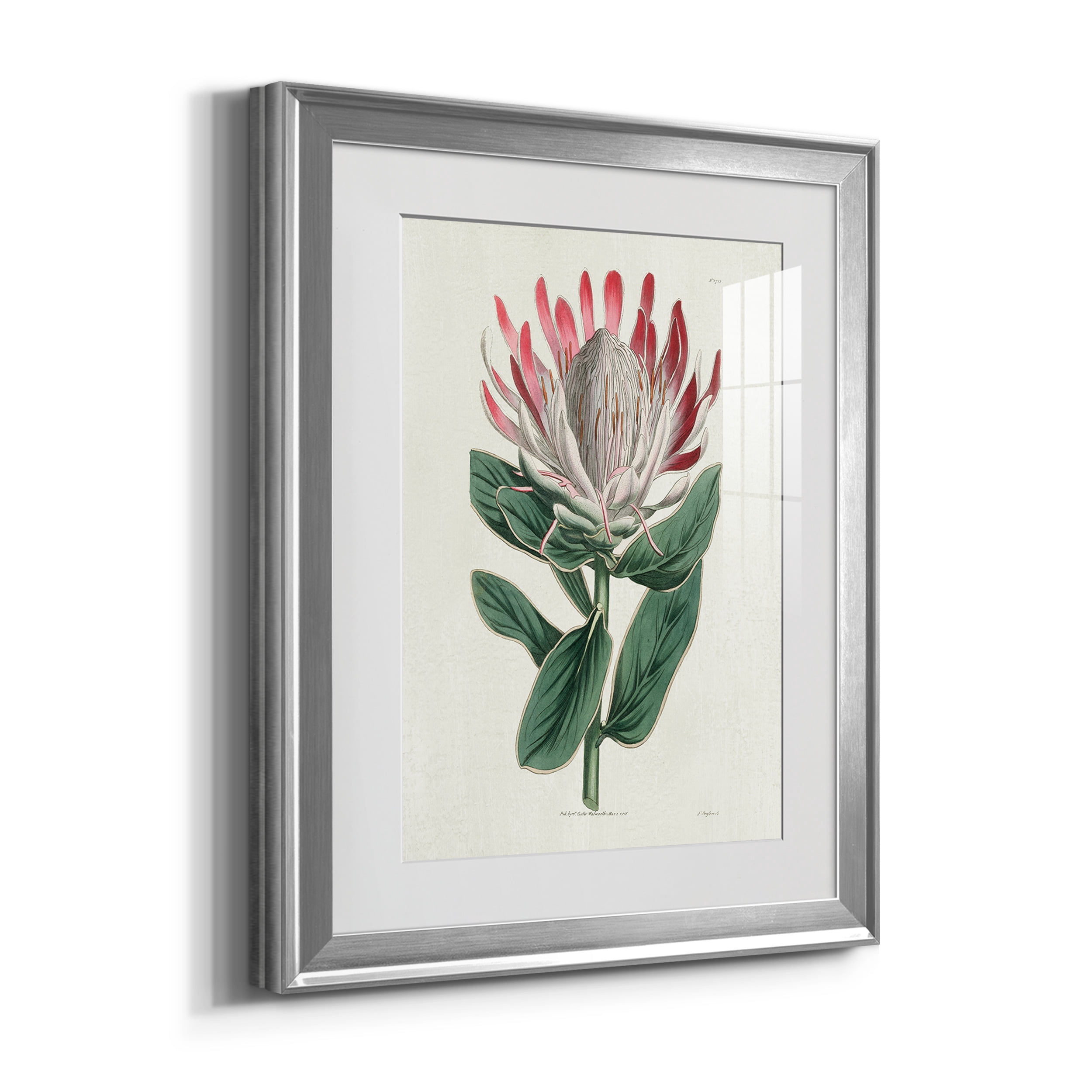Protea N13 Premium Framed Prints Set of 3 - Ready to Hang - 18 x 24 Each - Silver Frame