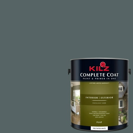 KILZ COMPLETE COAT Interior/Exterior Paint & Primer in One #RM150 (Best Charcoal Paint Color)