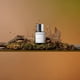 thumbnail image 2 of Perfume Dossier Citrus Tea 50 ml Unisex Vegano Sin Parabenos, 2 of 6