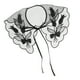 thumbnail image 5 of cuello falso floral Sunnimix gasa desmontable negro 02, 5 of 8