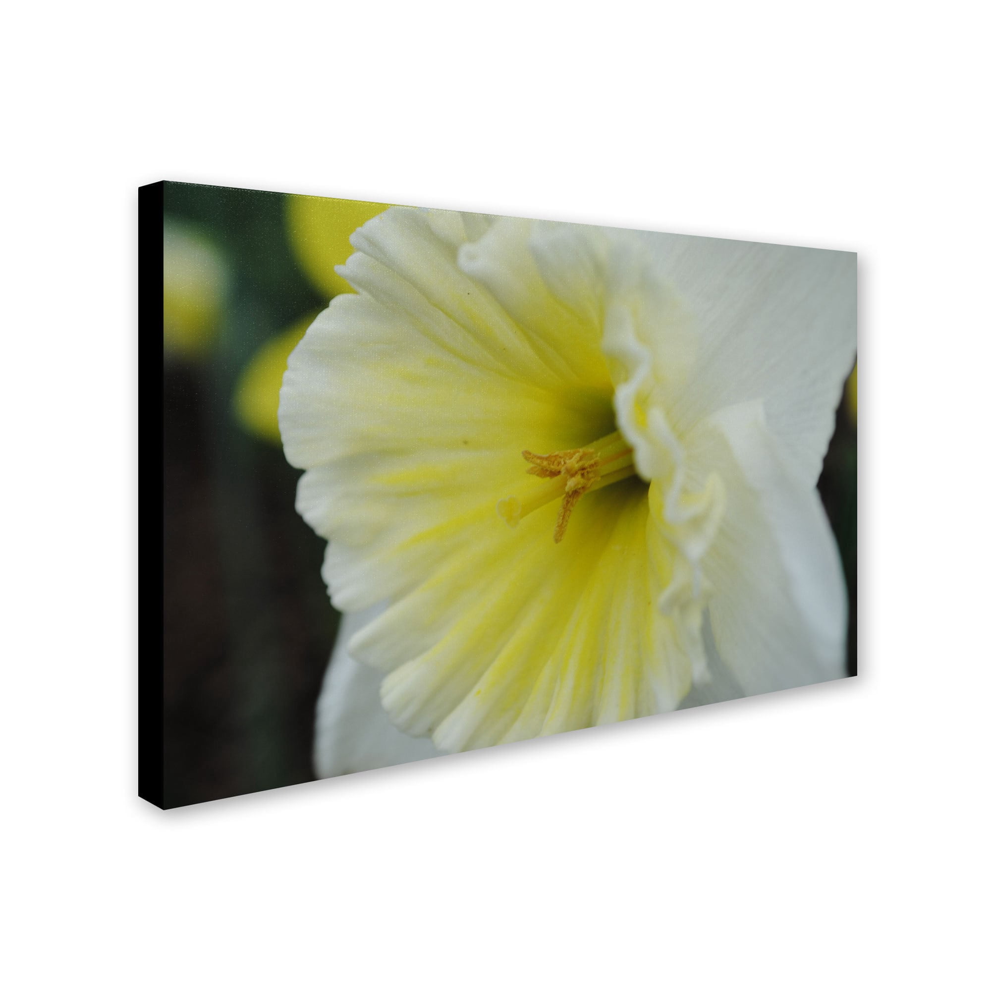 Trademark Fine Art "Vitality" Canvas Art by Monica Fleet
