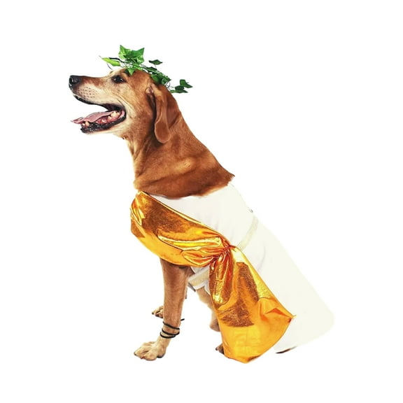 Midlee Toga Halloween Dog Costume (Large)