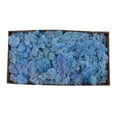 thumbnail image 3 of facefd Natural Dried Reindeer Moss Treated Immortal moss Crafts DIY Floral Decor Blue, 3 of 5