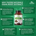 thumbnail image 3 of Zazzee | 500 mg | 120 Cápsulas | Suplemento Alimenticio Natural | Bienestar Respiratorio y Vitalidad General, 3 of 3