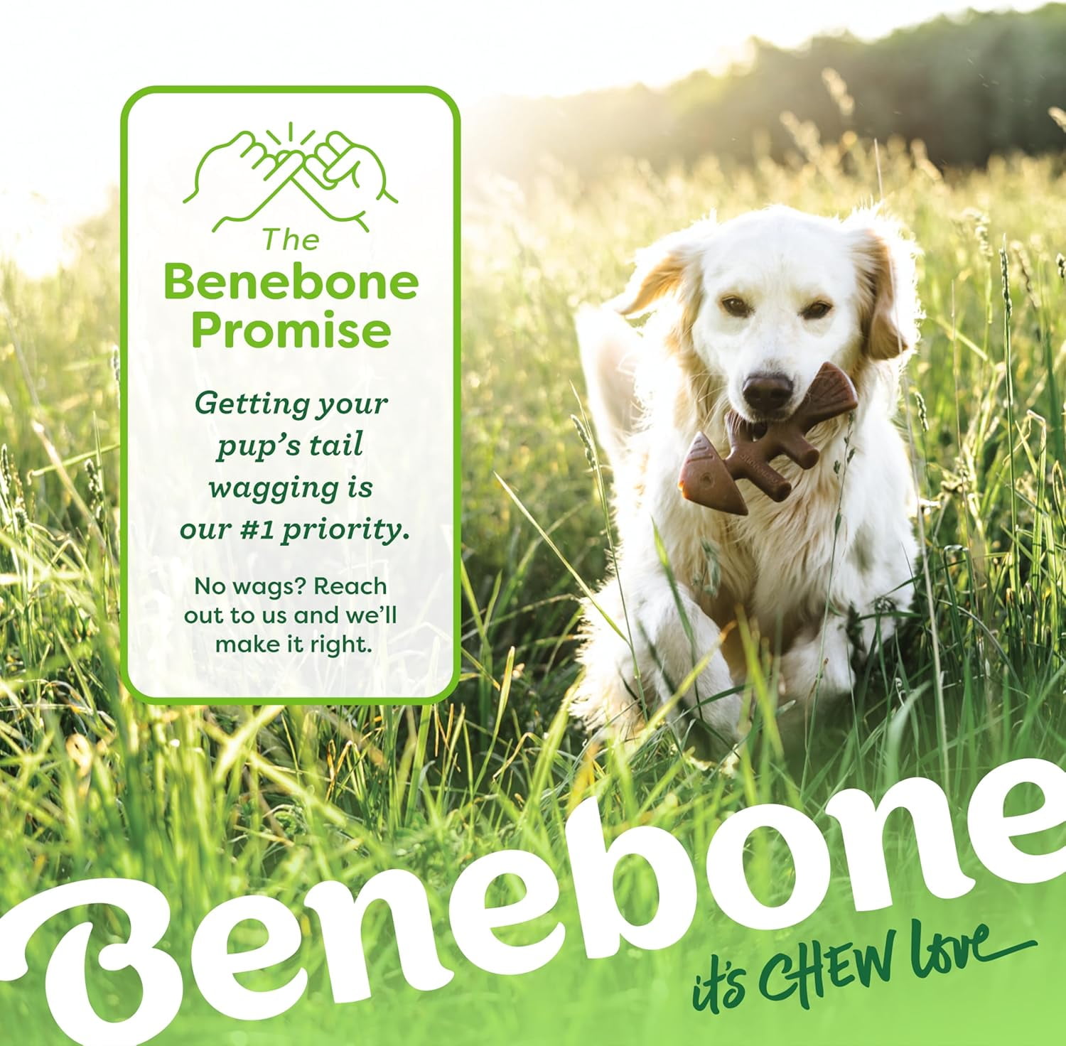 Benebone 2-pack Fishbone/Wishbone Durable Dog Chew Toys, Real Fish, Real Bacon, Medium