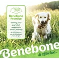 thumbnail image 2 of Benebone 2-pack Fishbone/Wishbone Durable Dog Chew Toys, Real Fish, Real Bacon, Made in , Large, 2 of 6