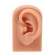 thumbnail image 1 of Modelo de oreja perforadora, práctica de perforación 3D, modelo de oreja de silicona, práctica de perforación, modelo de oreja, rendimiento lleno de energía, 1 of 8
