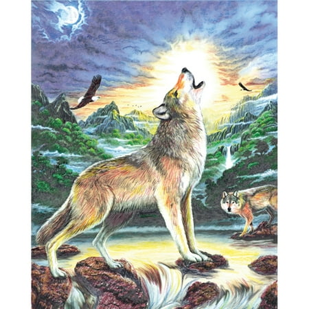 Colour Pencil By Number Kit 8, 3/4