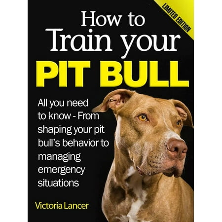How to Train Your Pit Bull (Limited Edition) - (Best Trained Pitbull Ever)