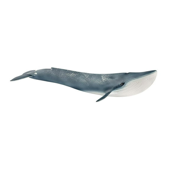 Schleich Wild Life - Realistic Blue Whale Figurine - Authentic and Highly Detailed Aquatic Animal Toy - Durable Ocean Animal Toys for Kids Ages 3 