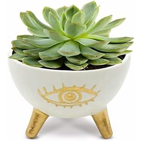 Gold Evil Eye Ring Bowl, Modern Table Top Planter and Ceramic Jewelry Dish, Small Decorative Bowl, Chic Table Key Holder for Coins and Other Trinkets
