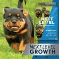 thumbnail image 3 of Next Level, Hi-Pro Puppy, Dry Dog Food, 40 lbs, 3 of 9