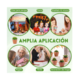 thumbnail image 5 of 24pcs Velas Aromaticas Cactus Verdes Decorativas Con Maceta Malubero Café, 5 of 5