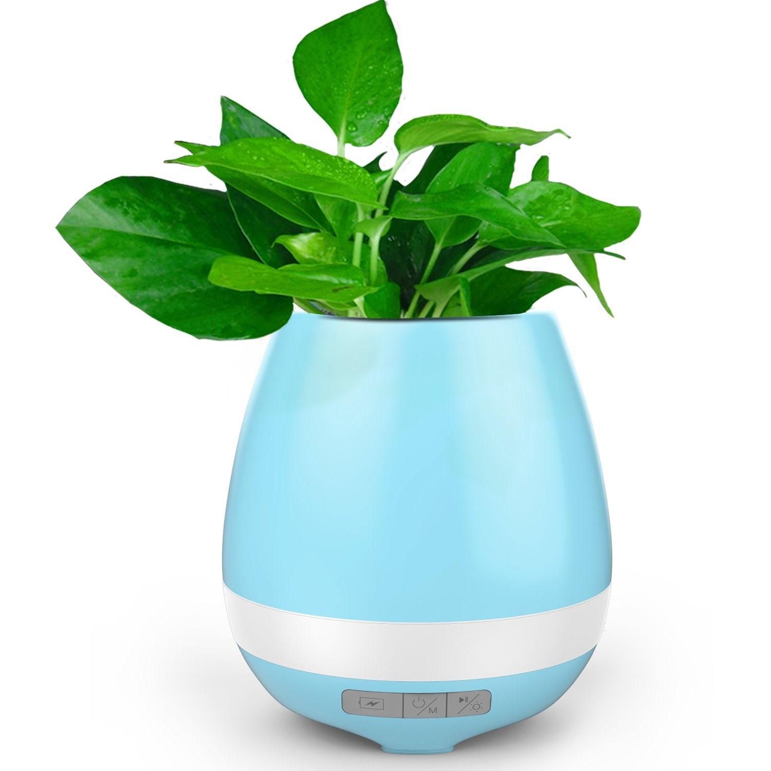 Dancing Flower Pot Blue