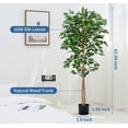 thumbnail image 4 of Ficus Artificial Trees- 5Ft Tall Silk Ficus Tree with Realistic Leaves and Natural Trunk Faux Tree in Stable Pot Aesthetic Room Decor (5Ft - 2Packs)…, 4 of 5