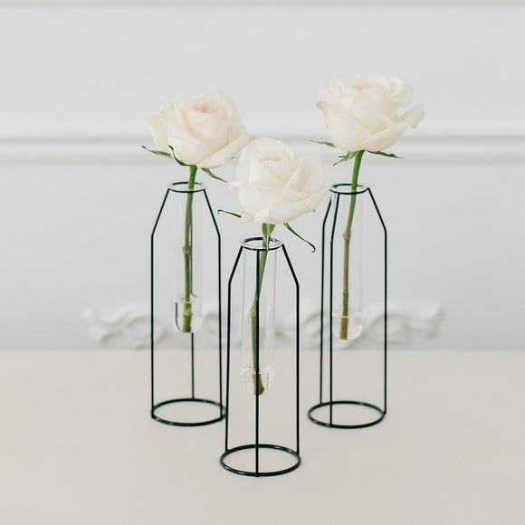 Test Tube Vases