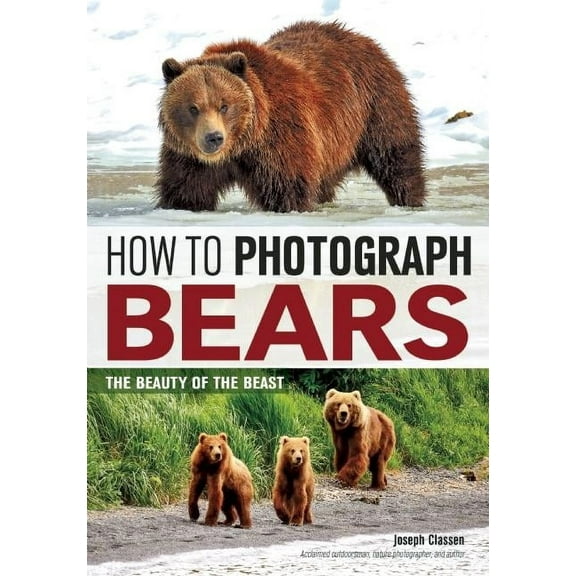 How to Photograph Bears: The Beauty of the Beast (Paperback)