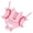 Pink, variant on CEORPER Fence Mounted Hanging Holder Portable Baseball Softball Dugout Organizer