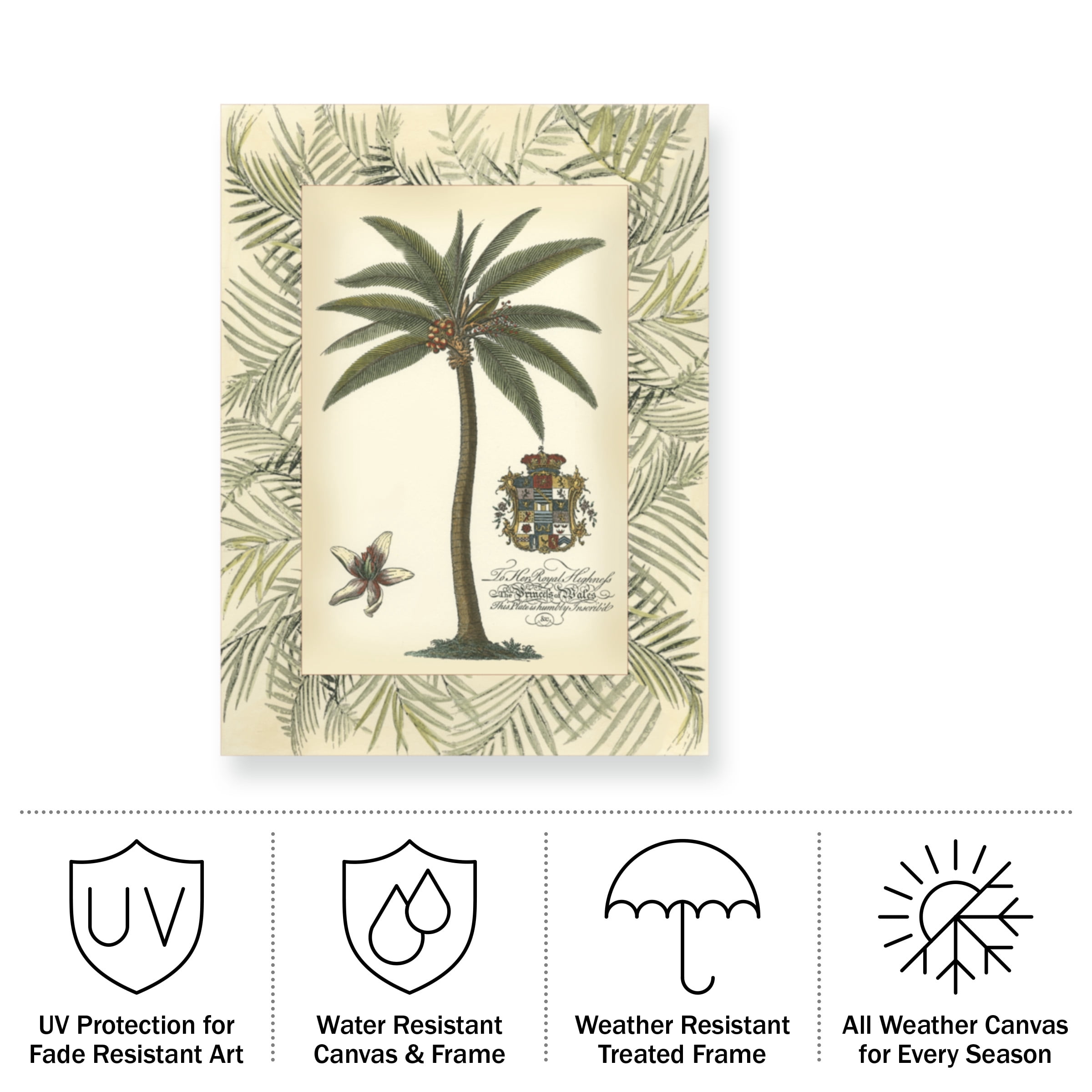 Vision Studio 'Palm In Bamboo Frame I' Outdoor Canvas 47x35