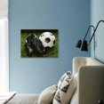 thumbnail image 3 of Soccer Still Life, Stretched Canvas Wall Art Sold by Art.Com, 3 of 5