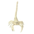 Bag of Bones Halloween Life Size Skeleton Skull,for Decoration and