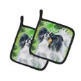 thumbnail image 1 of Carolines Treasures BB9831PTHD Papillon St.Patricks Porte-Pots, 1 of 1