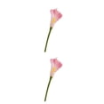 thumbnail image 3 of Matsuzay 20 unids/set aspecto realista Ramos de alcatraces no tóxicos para madres y amantes decoración de fiesta rosa Rosa 2Conjunto, 3 of 6