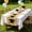 Table flag04 #, variant on PLPPYFS Graduation Table Runner, Graduation Party Decorations for Table, Congrats Grad Cap Table Runner Cover for Graduation Decorations for Home Kitchen Dining Room Table Decoration (11.8"x47.2")