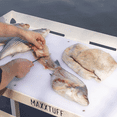 thumbnail image 6 of MAXXTUFF Dock-Mounted Fish Fillet Table, 6 of 7