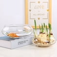 thumbnail image 4 of mmirethe Clear Lotus s Or Fish Lotus In Bowl Watch In Pot For Indoor 20cm 19.5*19.5*9.5CM, 4 of 6