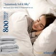 thumbnail image 5 of HNB Store 3pc Duvet Cover Set | 1000 TC Egyptian Cotton | Full/Queen Size Duvet Cover with 2 Pillowcases | Light Grey Solid, 5 of 8