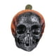 thumbnail image 2 of Halloween Skull Resin Ornaments Holiday Room Horror Pumpkin Hat Skull Decoration Layout Crafts, 2 of 2