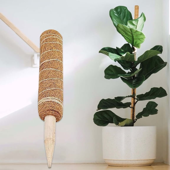Plants Support Moss Pole, Climbing Plants Stick, Extension Moss Stick for Indoor Plants, Perfect Support for Growing Vines, and Gardening DIY Projects
