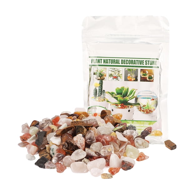 Guijarros Decorativos Pulidos, Guijarros Decorativos Naturales De Plantas Fáciles De Almacenar 3.5 Oz Fáciles De Limpiar Para Plantas En Macetas Para Peceras LHCER Plant Natural Decorative Pebbles